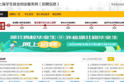 大学生就业信息网,助力学子精准匹配职业发展路径