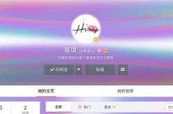 匠星娱乐皇,揭秘明星背后的匠心独运